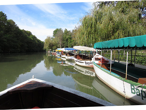 Kamchiya Lagoon