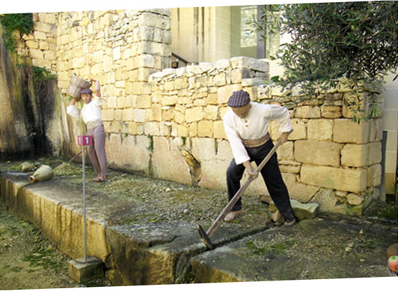 The Limestone Heritage Park & Gardens