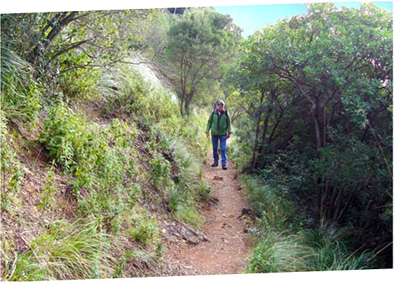 Excursion to the Abbey of San Fruttuoso