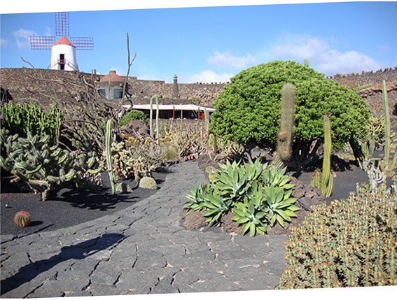 Parc botanique Jardín de Cactus