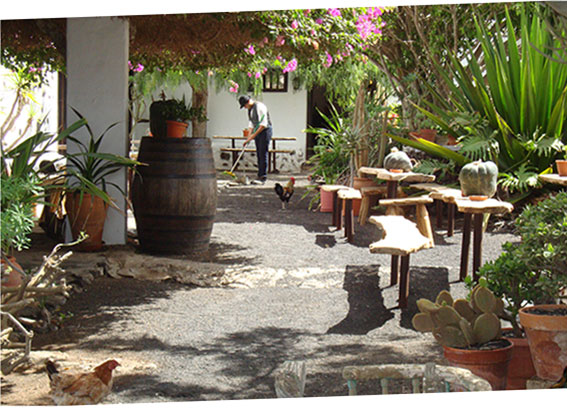 The Museo Agricola El Patio in Tiagua