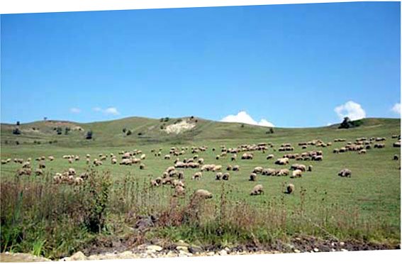 La splendida campagna rumena