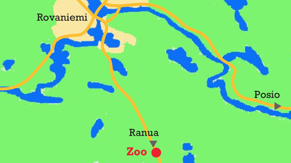 Allo zoo di Ranua - Rovaniemi