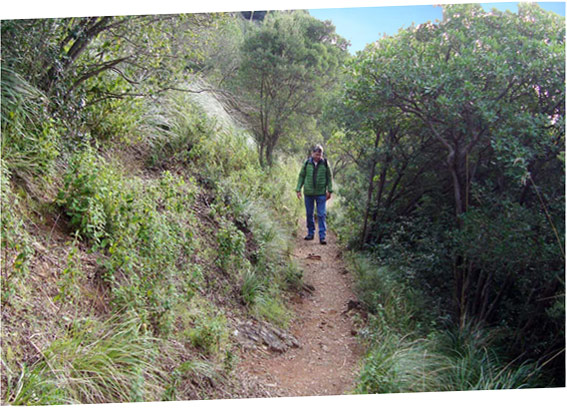 Le chemin de San Fruttuoso