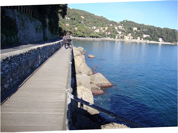 The path to Portofino