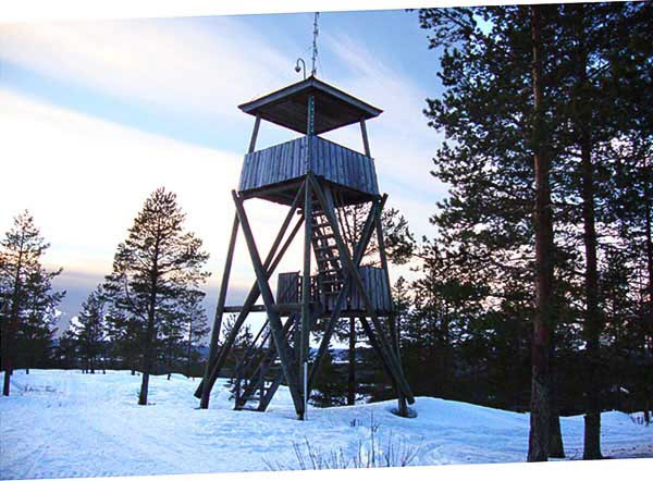 tower in the woods