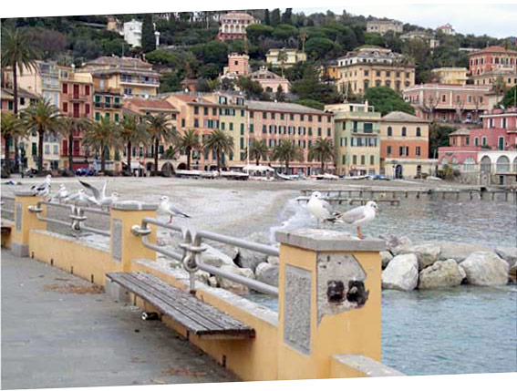 The sea of Santa Margherita Ligure