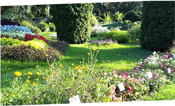 Botanischer Garten