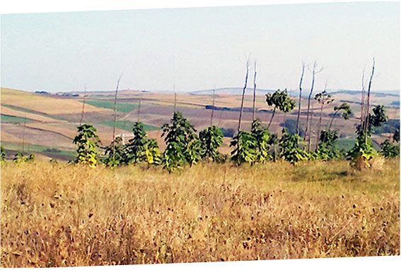 Schönen Landschaft