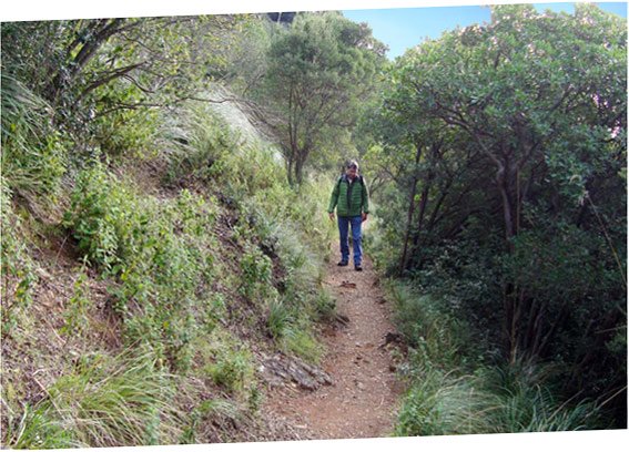 Der Weg nach San Fruttuoso