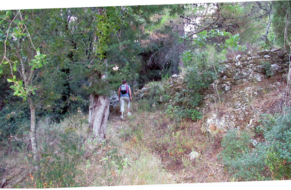 Kefalonia: Trekking zur Akropolis von Sami