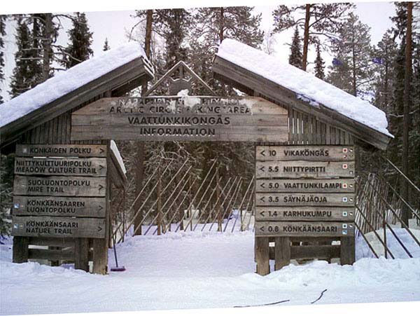 Attraverso il parco vicino Rovaniemi.