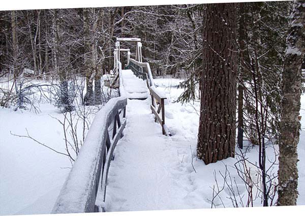 Attraverso il parco di Vaattunkiköngäs nella neve.